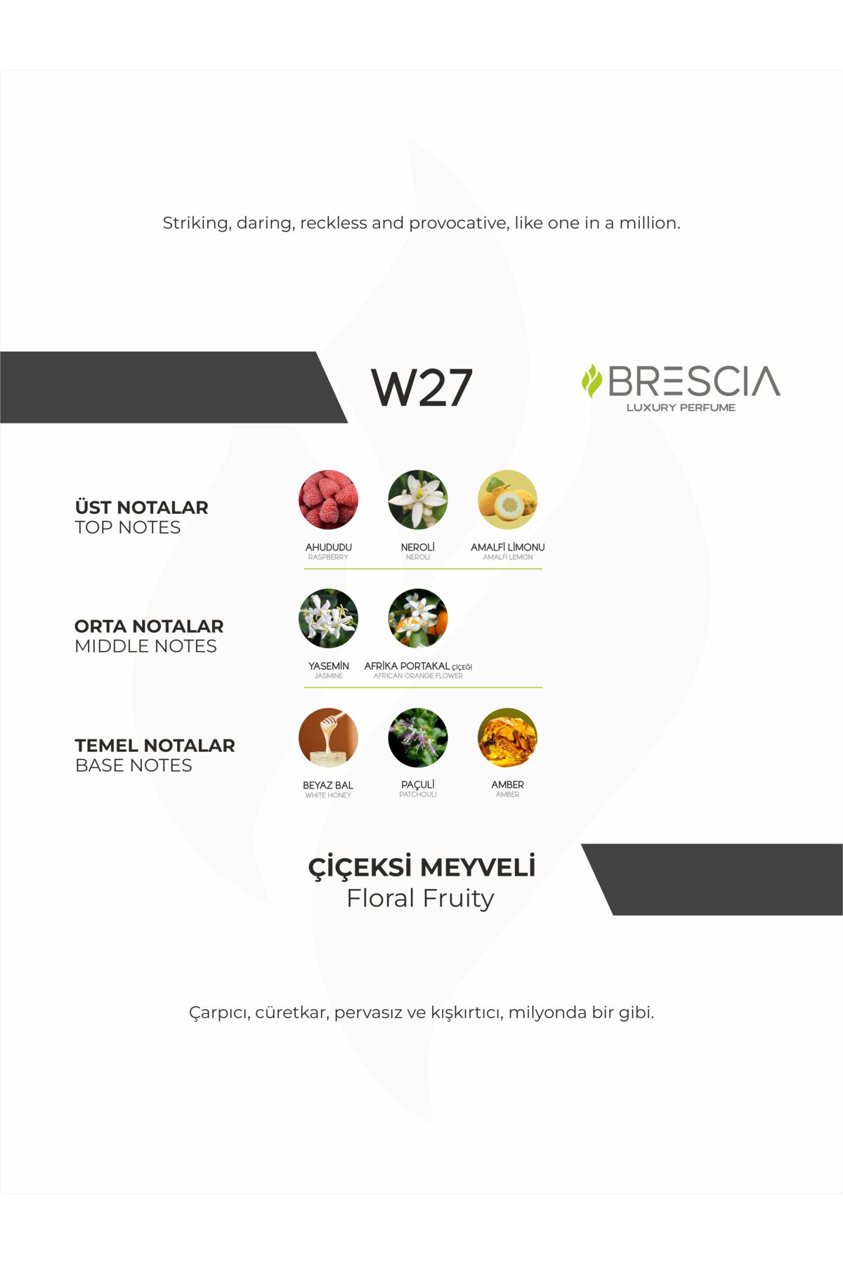 BRESCIA W27 50ml EDP ( PR Lady Million Muadili ) - Görsel 2