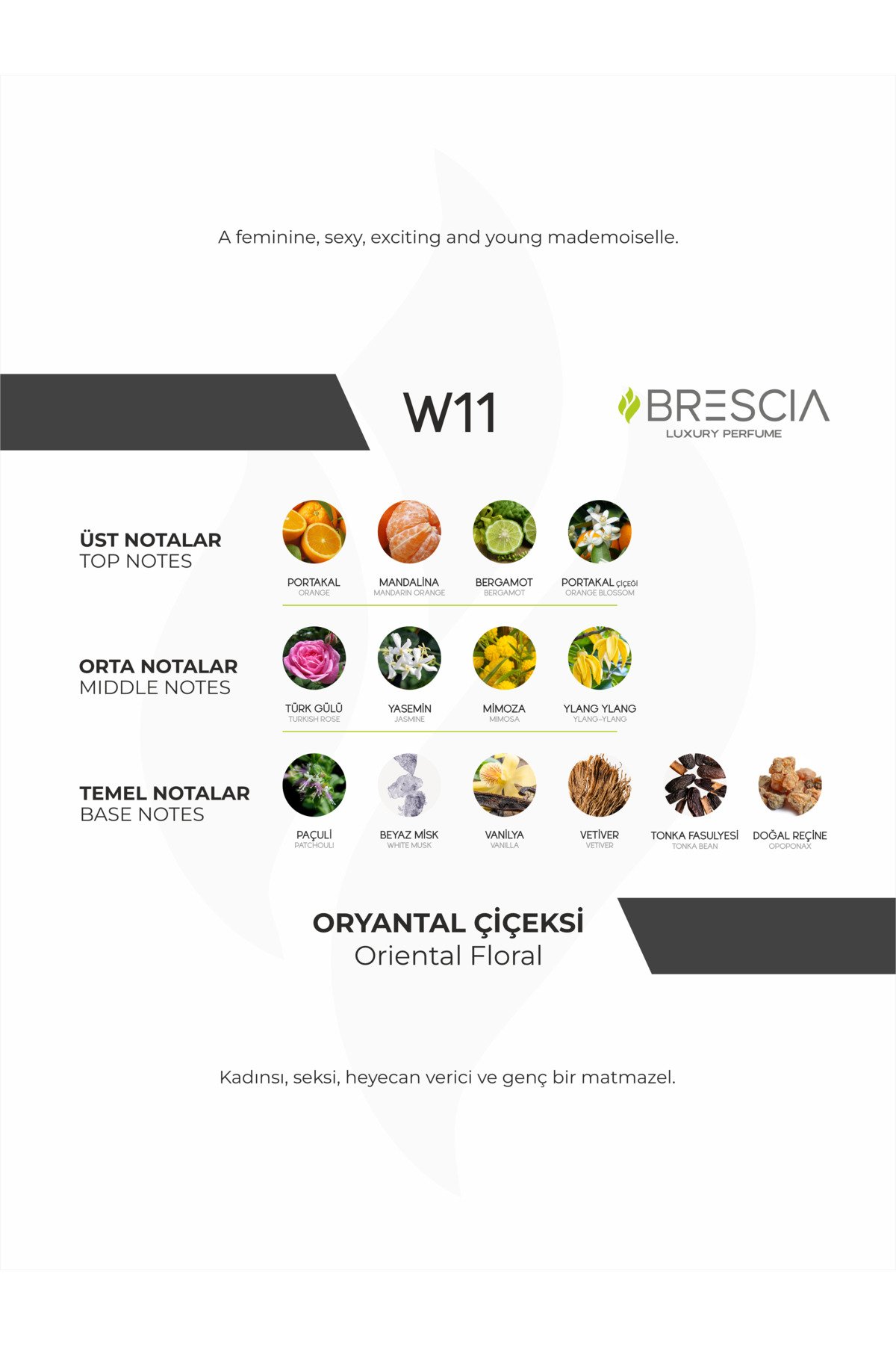 BRESCIA W11 50ml EDP ( Chanel Coco Mademoiselle Muadili ) - Görsel 2