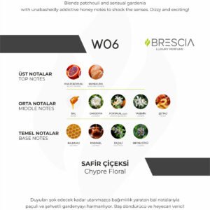 BRESCIA W06 50ml EDP ( JPG Scandal Women Muadili )