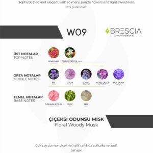 BRESCIA W09 50ml EDP ( Chloe Love Muadili )